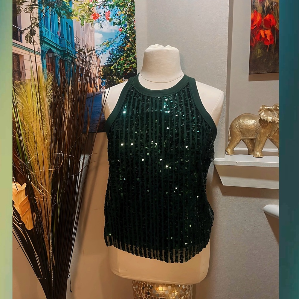 No Boundaries Dark Green Sequin Tank Top